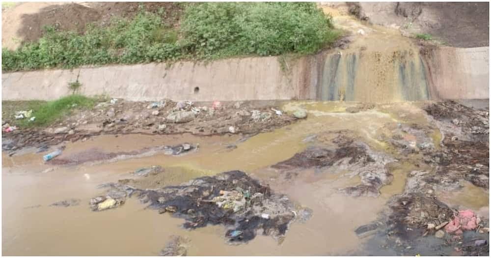 MPs recommend suspension of NEMA DG over River Athi Pollution