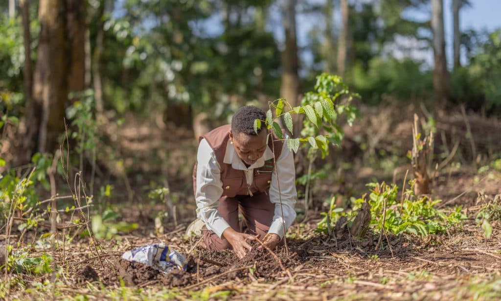 First Lady urges KFS, Communities partnership to establish tree nurseries
