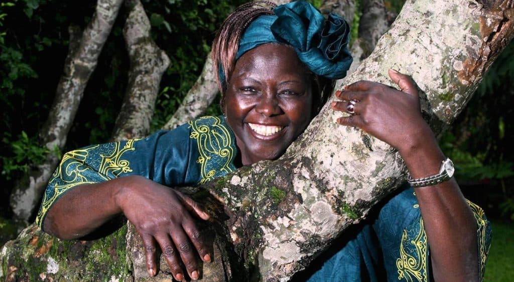 Opinion: Honouring the legacy of Wangari Maathai