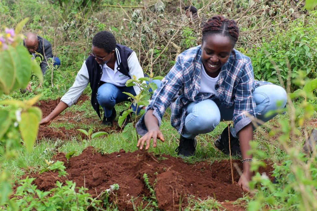 WWF-Kenya, partners plant 1,500 trees to restore Ngong Hills Forest