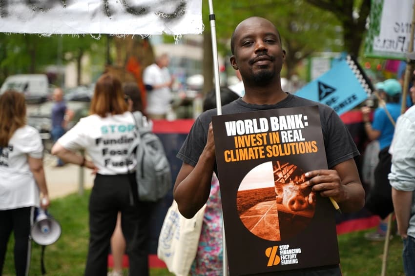 Global coalition urges World Bank to stop factory farming