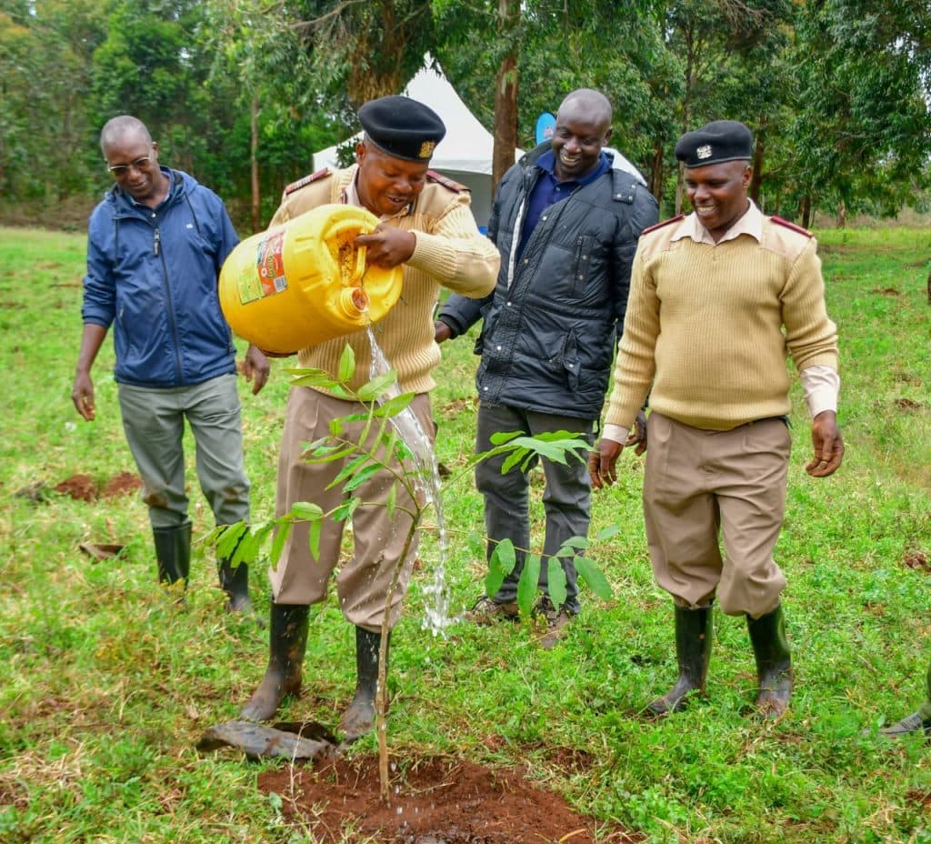 Government, Huawei partner to restore endangered Limuru forests through tree growing initiative