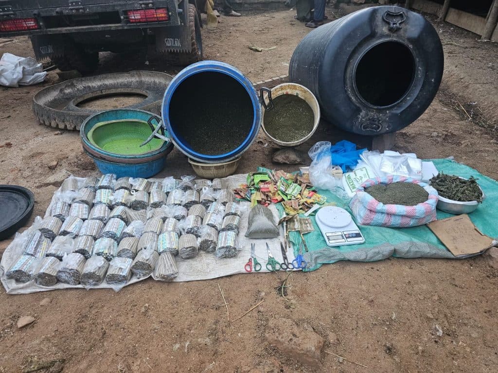 One arrested as NACADA seizes bhang worth Ksh1M in Kitui