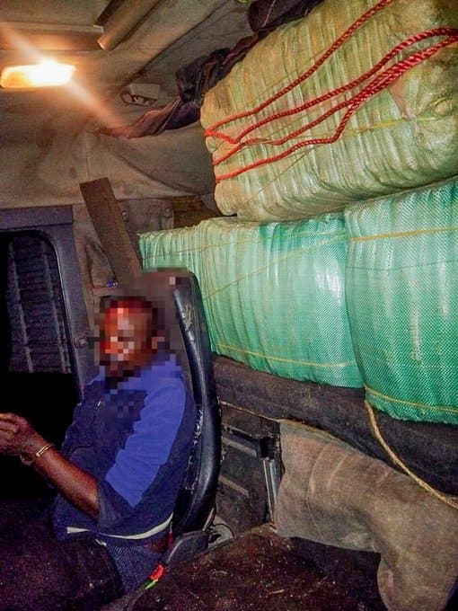 Suspect arraigned after police seize bhang worth Ksh 4.4M in Kikuyu