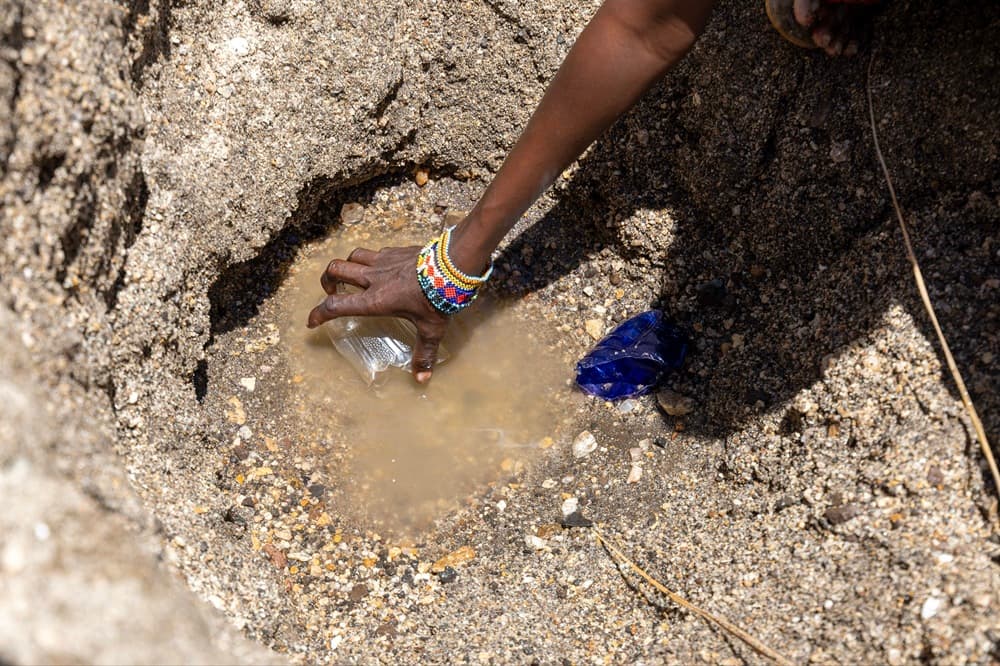 Drought bites in Turkana as families boil wild fruits to survive