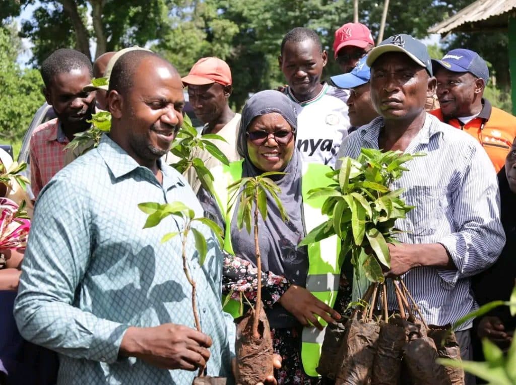 Governor Achani presides over distribution of 33,000 seedlings to 5,000 farmers
