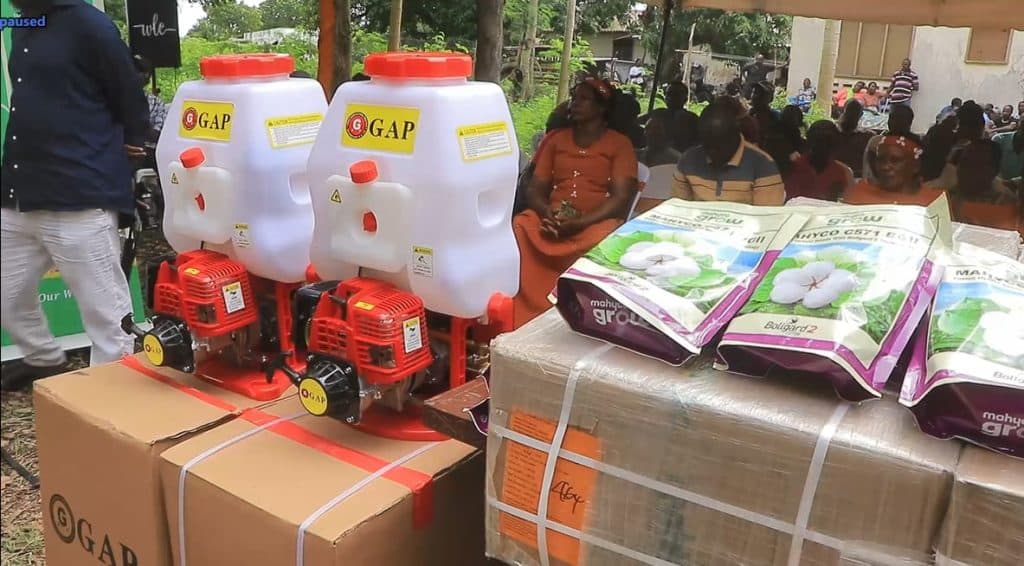 Demand for Lamu ‘White Gold’ sparks scramble for BT Cotton Seeds
