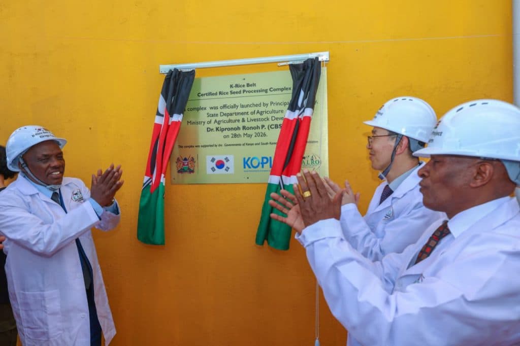 Boost for Kenya’s rice production with Ksh130M seed factory