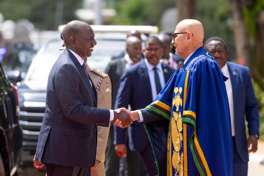Ruto launches charm offensive to woo Tanzanian investors