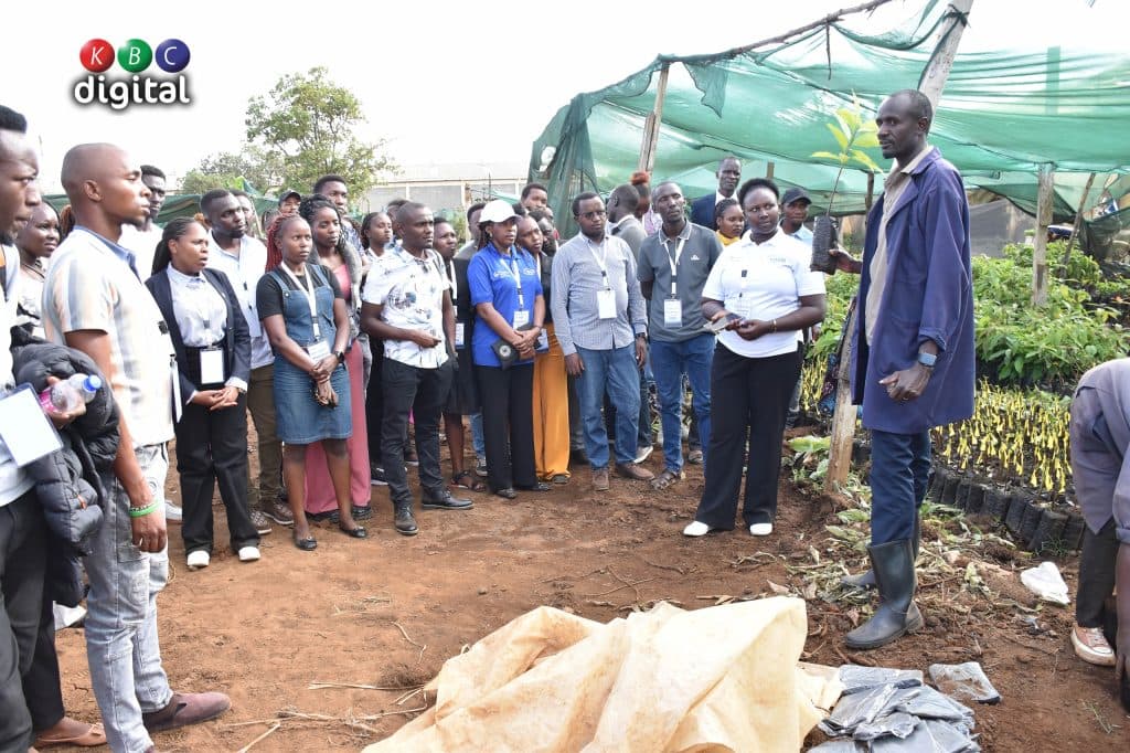 Youth challenged to explore opportunities in agribusiness