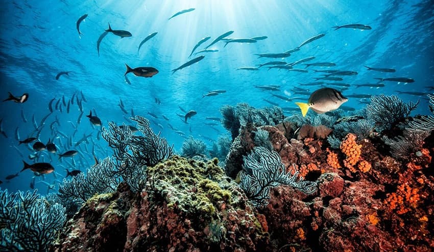 Kenya seeks more investments to unlock blue economy sector