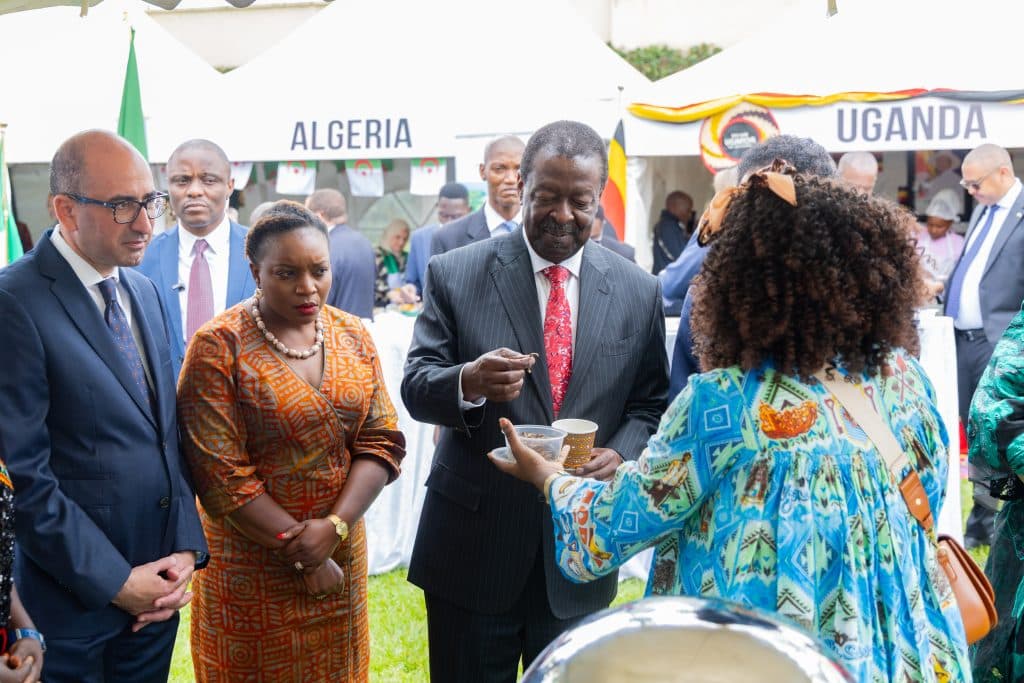 Africa must be at the centre of finding solutions to its own challenges