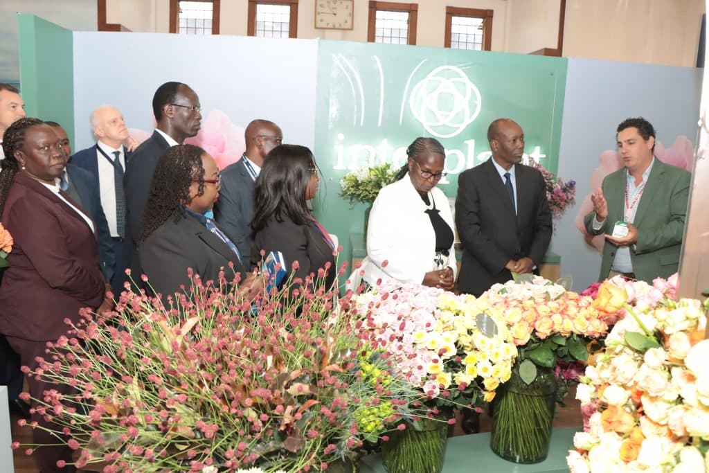 IFTEX 2026 opens in Nairobi as Kenya’s flower industry pushes for growth, sustainability
