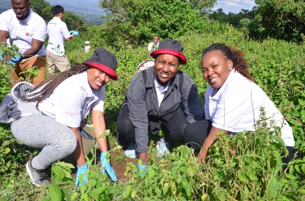300 trees planted in an effort to restore Kenya’s ecological systems