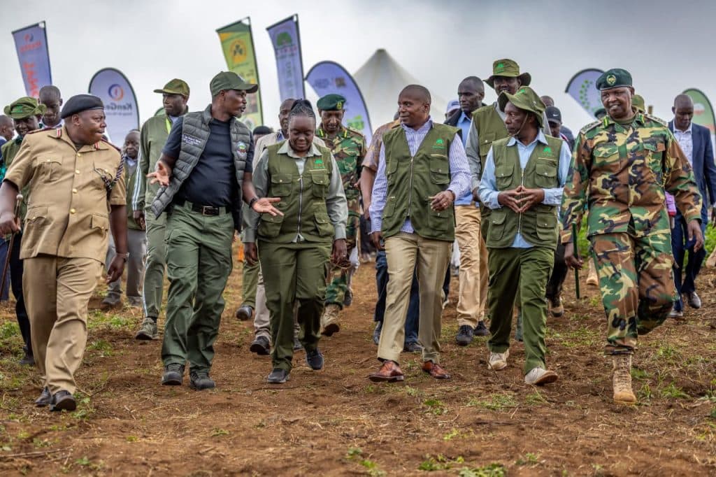 Kaptagat Forest model driving conservation, livelihoods, says Kindiki