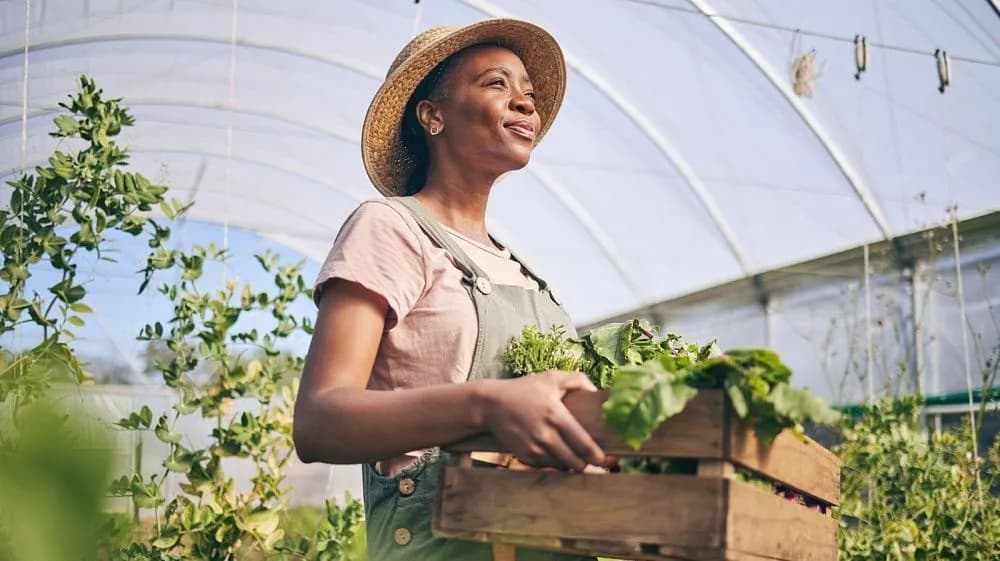 Expert: BRICS countries need to strengthen agricultural knowledge exchange