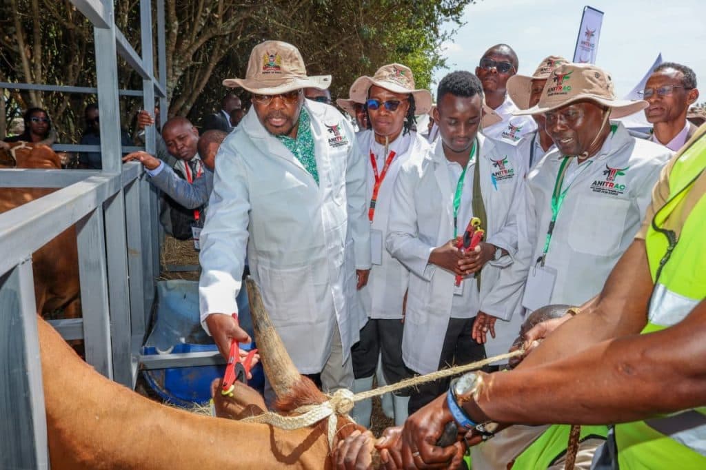 CS Kagwe warns antimicrobial resistance could lock Kenya out of global meat markets