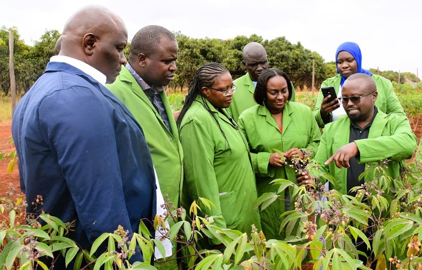 Maintain stringent biosafety protocols in Confined Field Trials, urges NBA