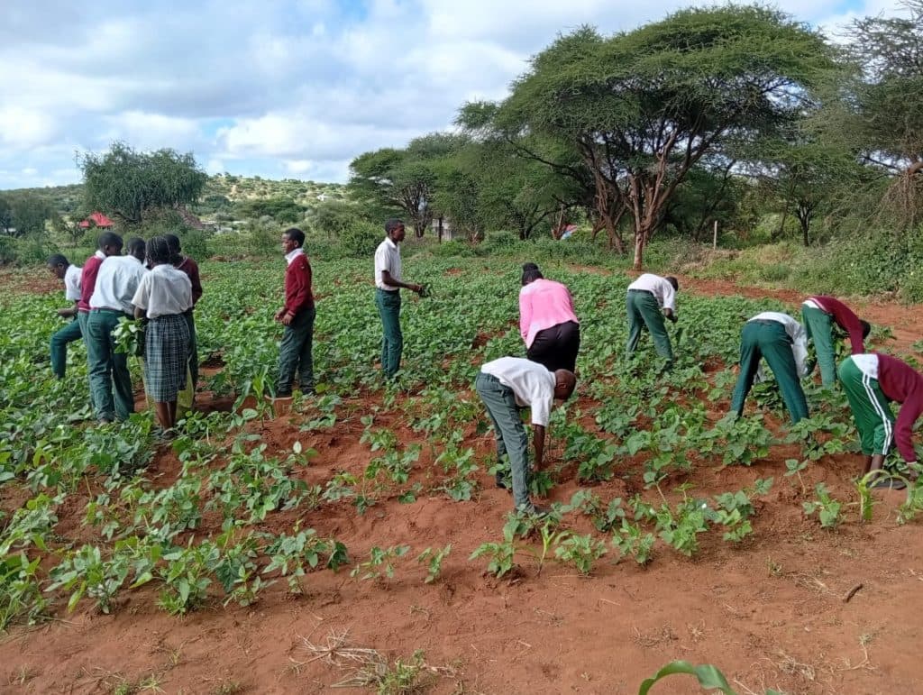 School farms boost food security in Kenya’s drylands