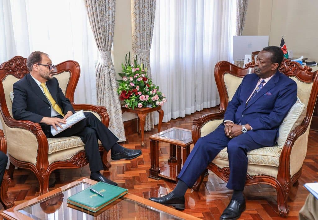 Kazi Majuu: Mudavadi lauds conclusion of MOU on labour, migration cooperation with Austria