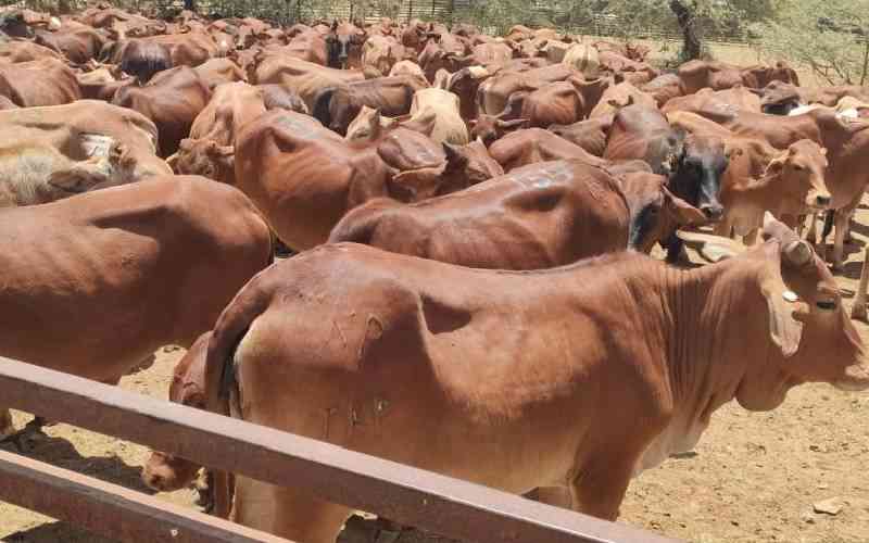 Let’s focus on other sources of Methane emissions not Africa’s indigenous livestock